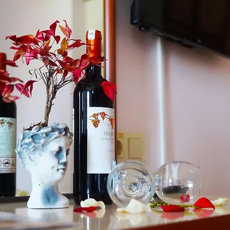 Отель Erguen 3*