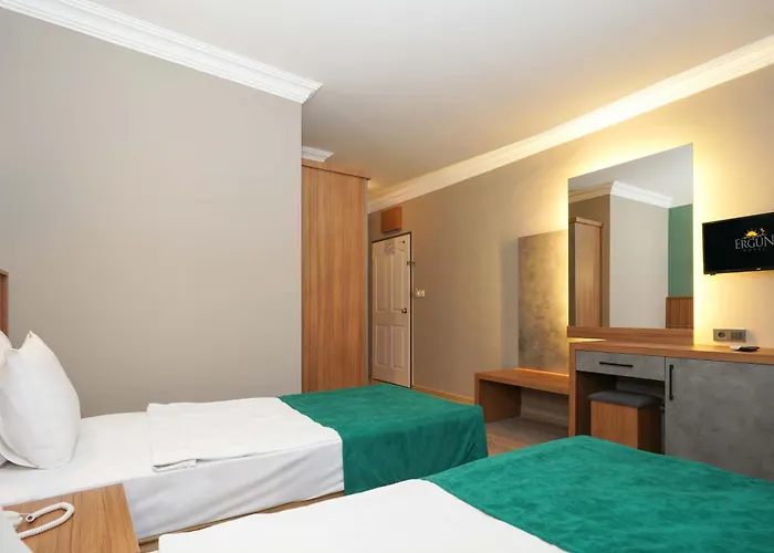 Hotel Erguen